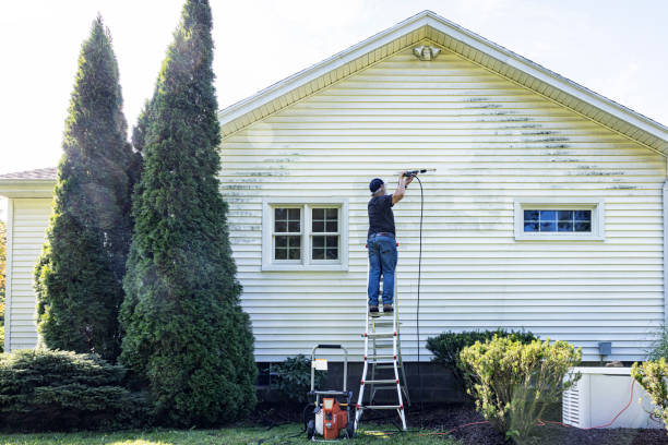 Best Fence Cleaning  in Corralitos, CA